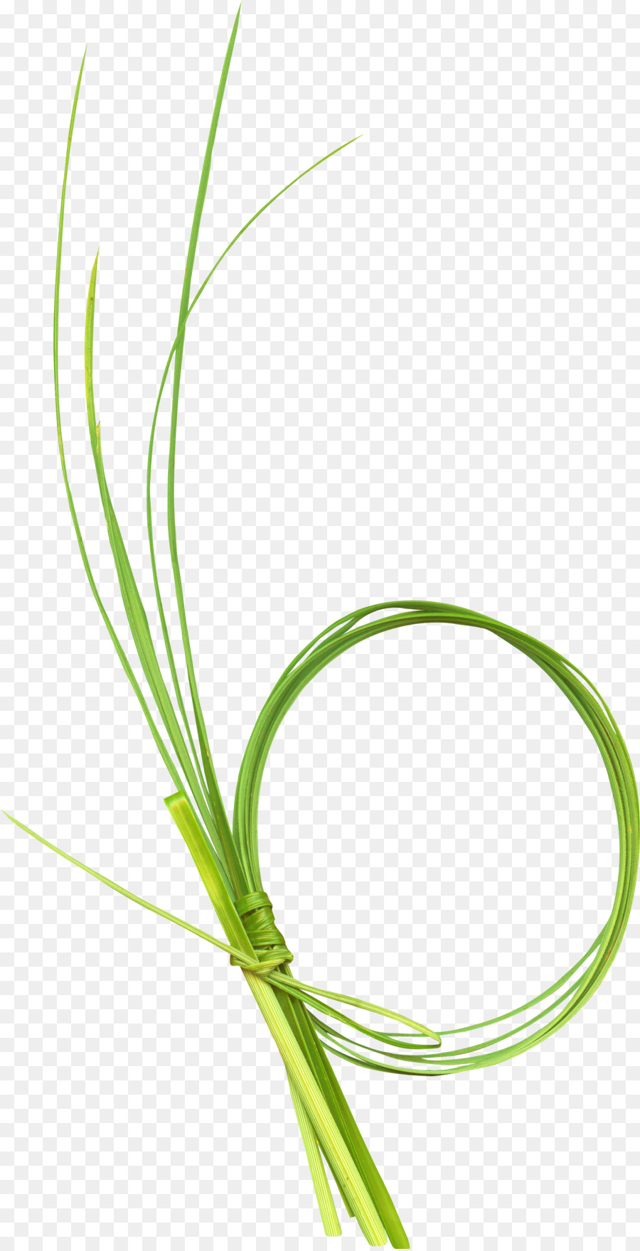 Verde，Download PNG