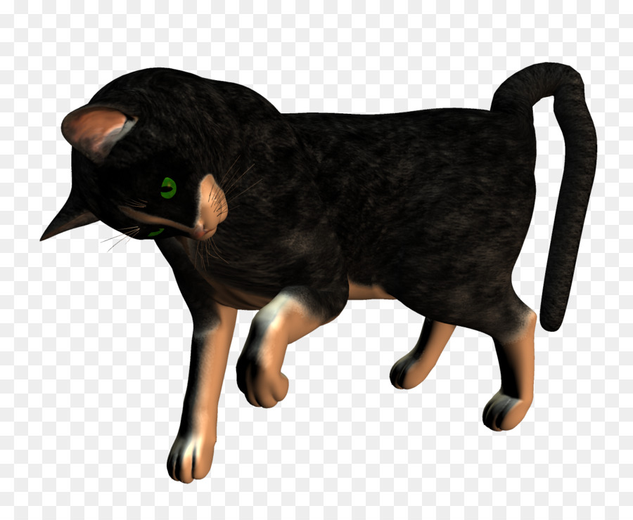 Cão，Gato Preto PNG