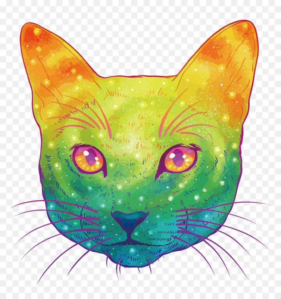 Gato，Gatinho PNG