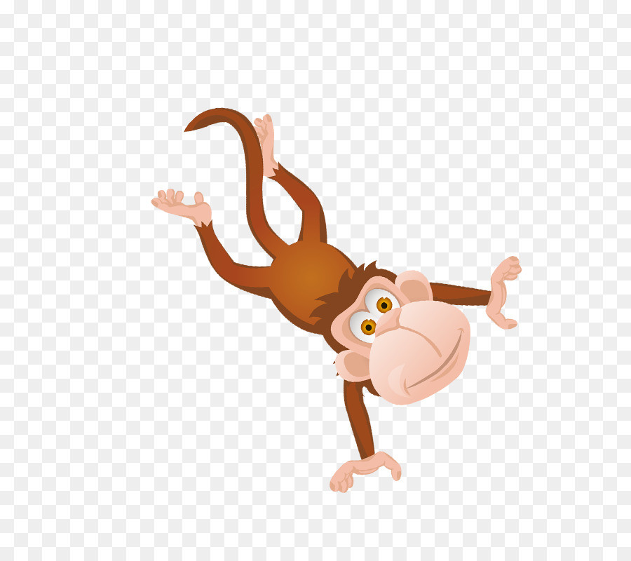 Macaque，Macaco PNG