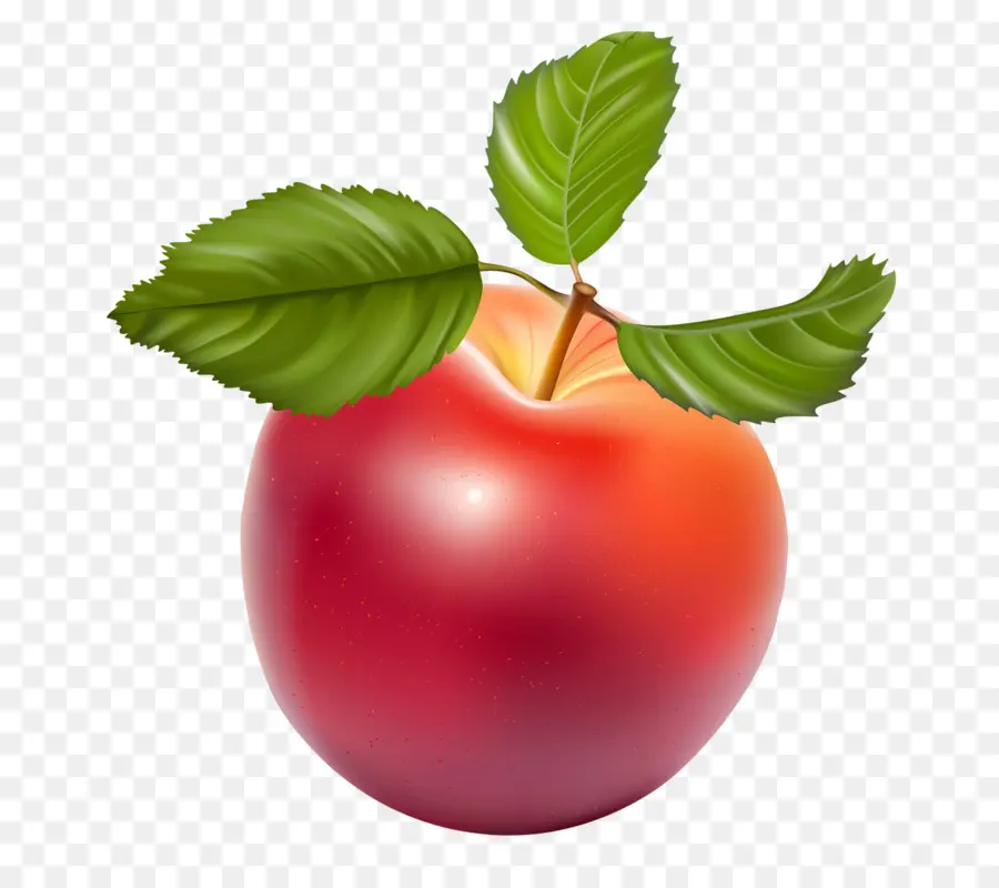 Apple，Download PNG