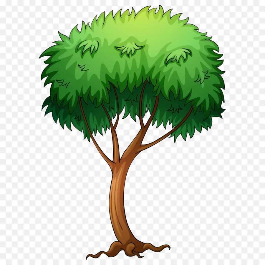 árvore，Royaltyfree PNG