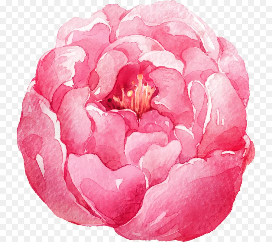 Aquarela Flores，Pintura Em Aquarela PNG