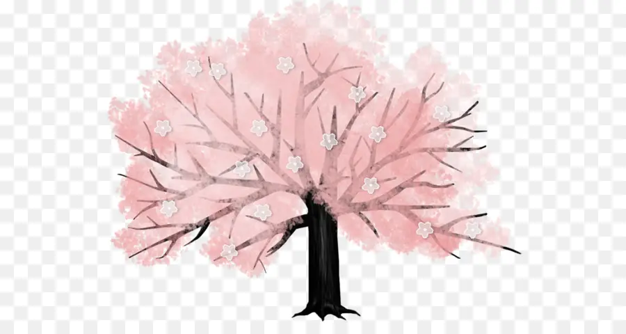 Flor De Cerejeira，árvore PNG