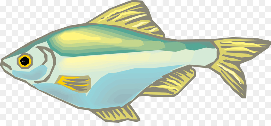 Peixe Colorido，Aquático PNG