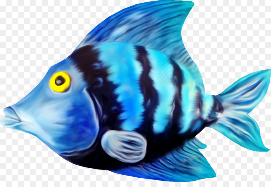 Carassius Auratus，Peixe PNG