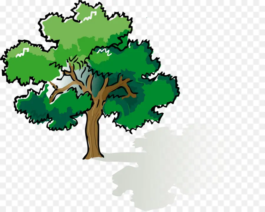árvore De Sombra，árvore PNG