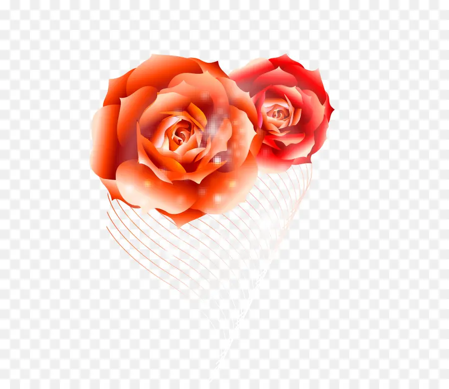 Rosas Vermelhas E Laranja，Rosas PNG