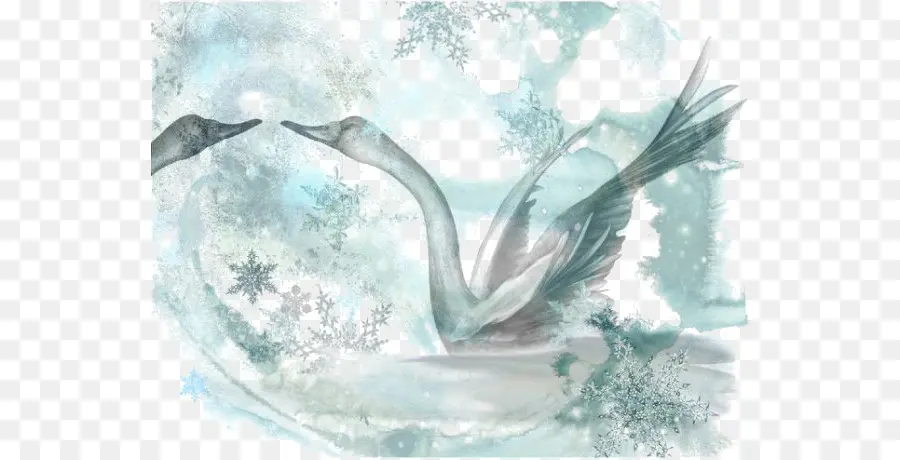 Cisne Na Neve，Inverno PNG