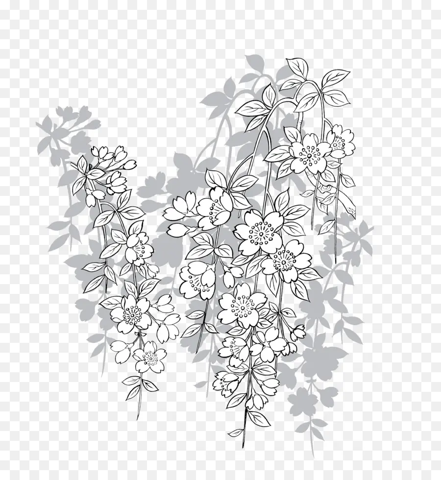 Desenho De Flor，Florescer PNG