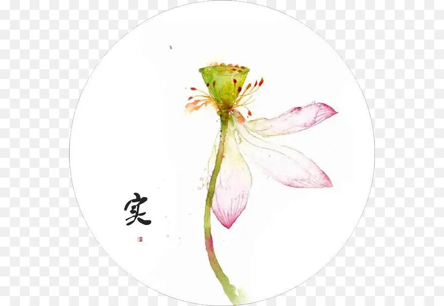 Flor Aquarela，Flor PNG