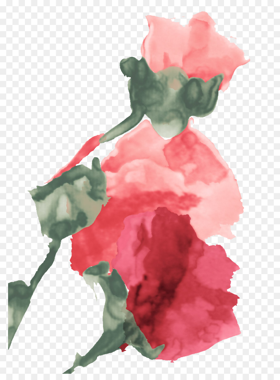 Aquarela Rosa，Rosa PNG