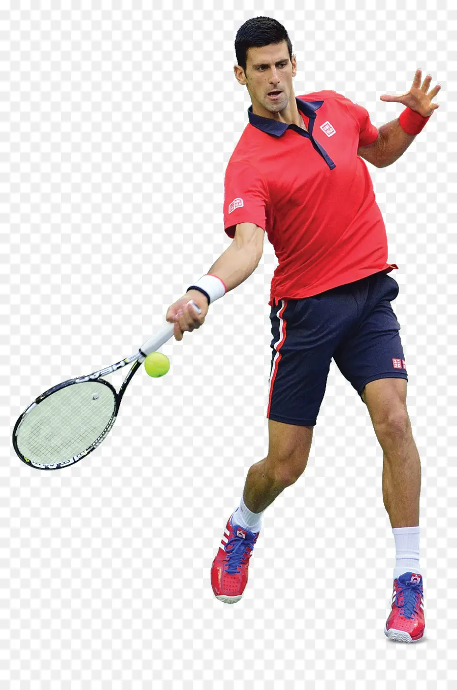 2014 Aberto Da Austrália U2013 Mens Solteiros，2016 Novak Djokovic Temporada De Tênis PNG