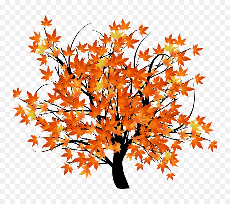 Outono，árvore PNG