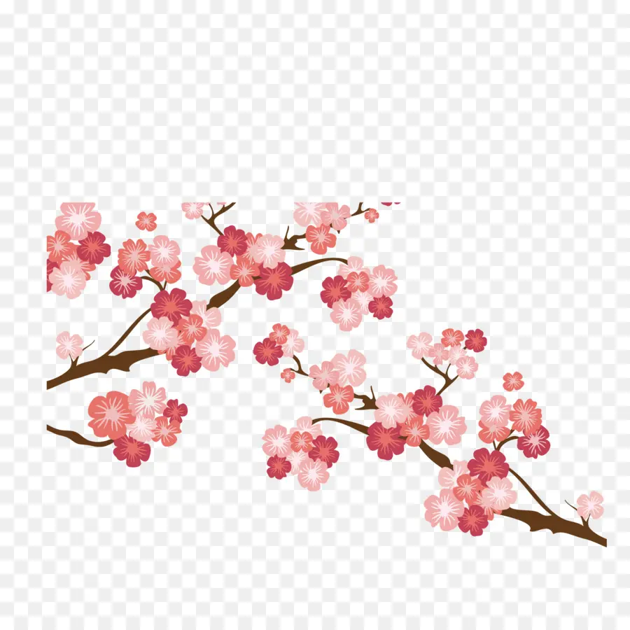 Convite De Casamento，National Cherry Blossom Festival PNG