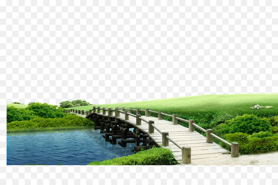 Ponte，Download PNG