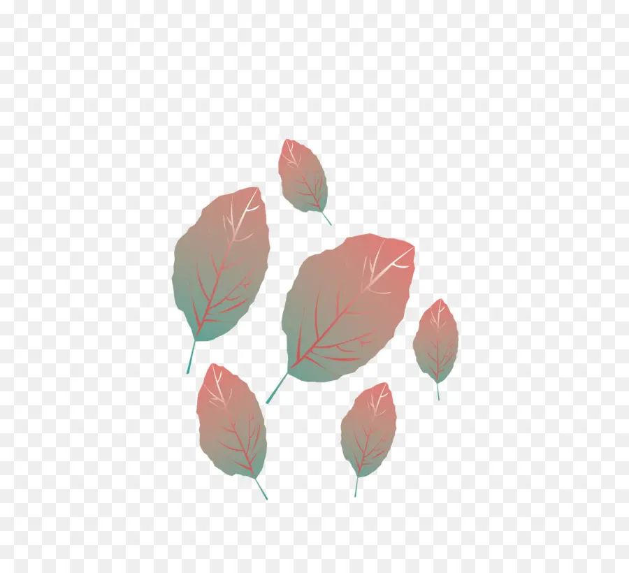 Maple Leaf，Folha PNG