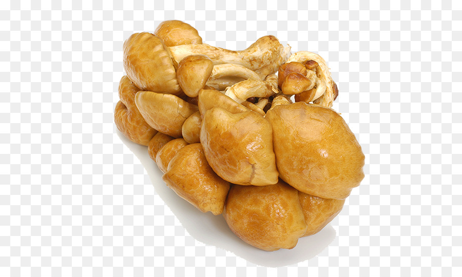 Cogumelo，Empanada PNG