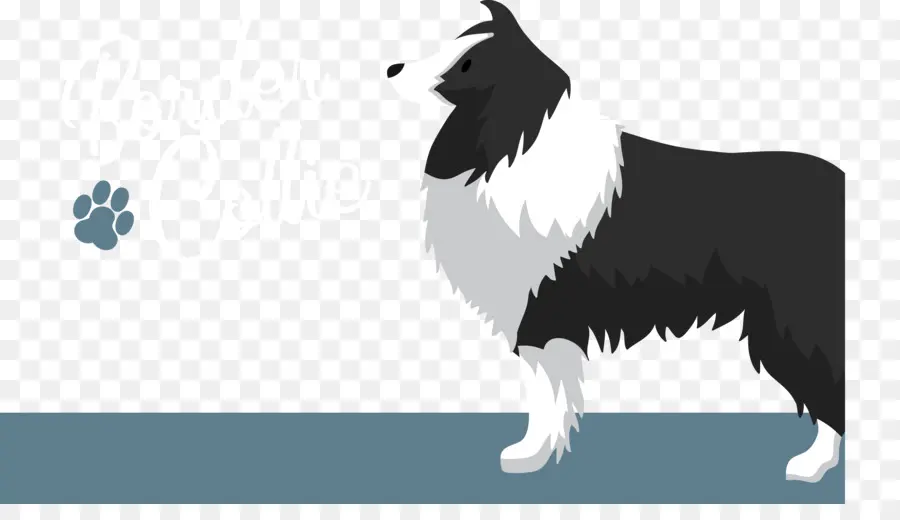 Border Collie，Raça Do Cão PNG