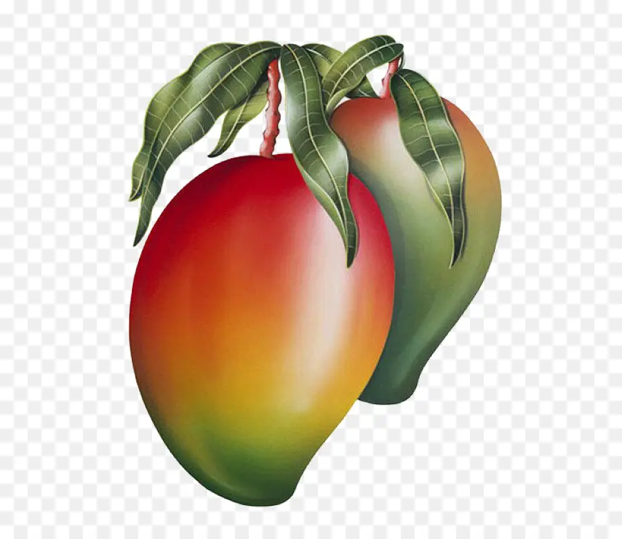 Tomate，Frutas PNG