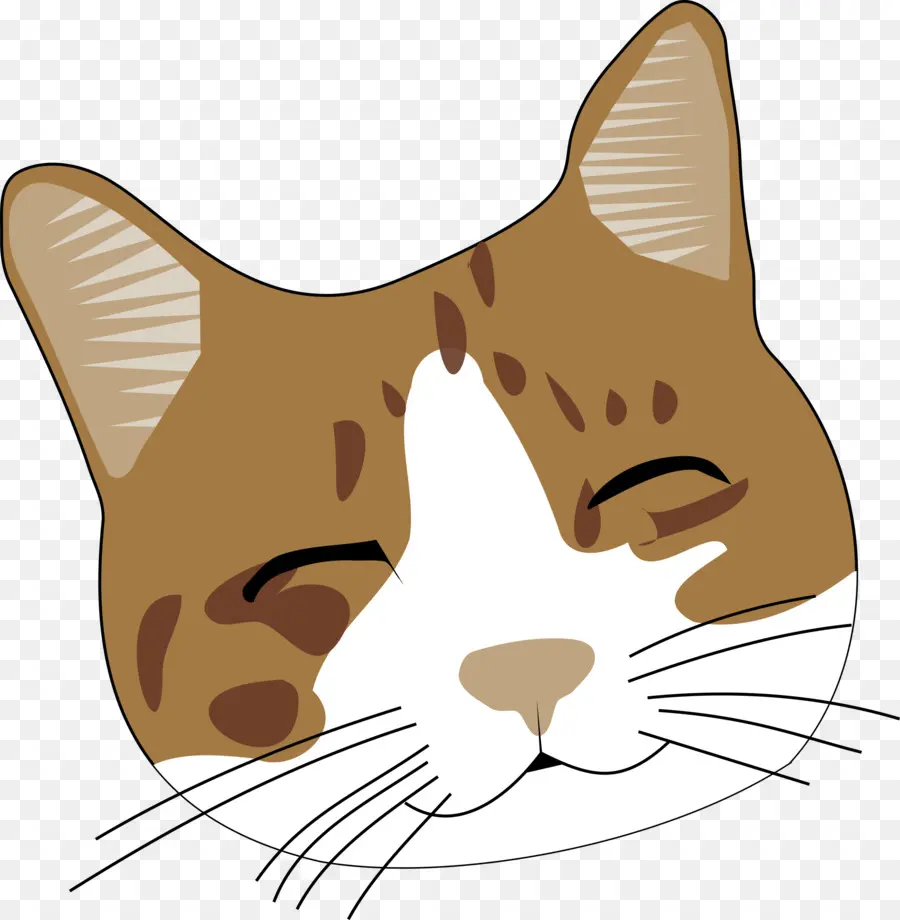 Cara De Gato，Desenho Animado PNG