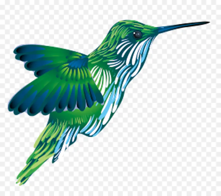 Colibri，Vôo PNG