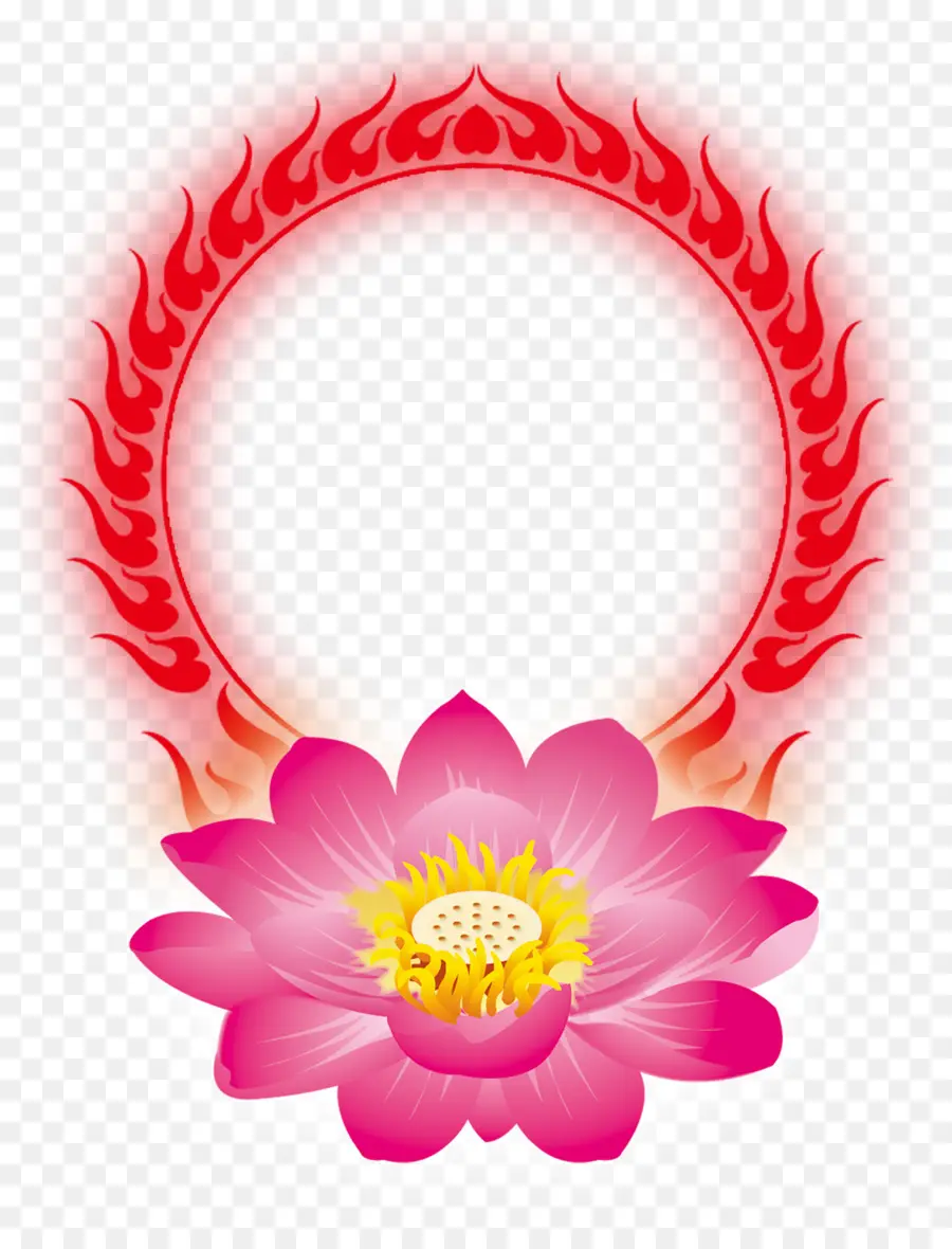 Lótus Rosa，Chama PNG