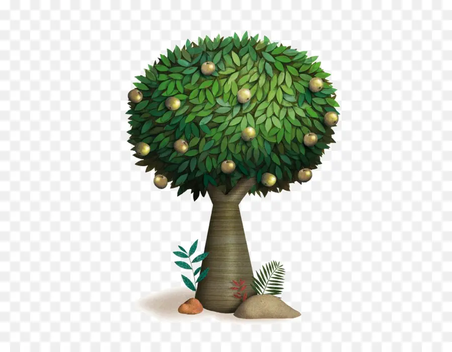 árvore，Illustrator PNG