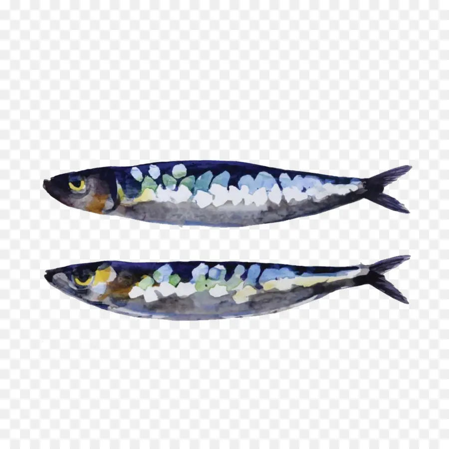 Sardinha，Peixe PNG