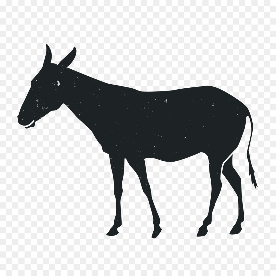 Mustang，A American Paint Horse PNG