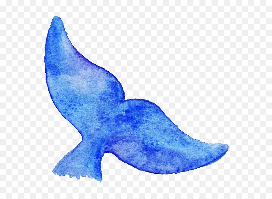 Royaltyfree，Baleia Azul PNG