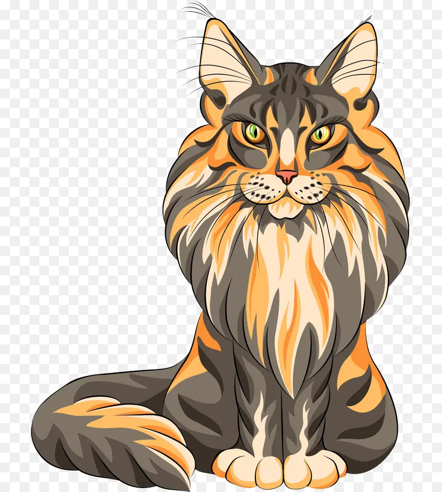 Maine Coon，Gato Persa PNG
