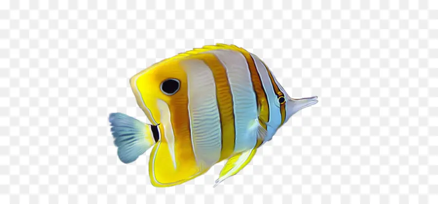 Amarelo，Peixes Tropicais PNG