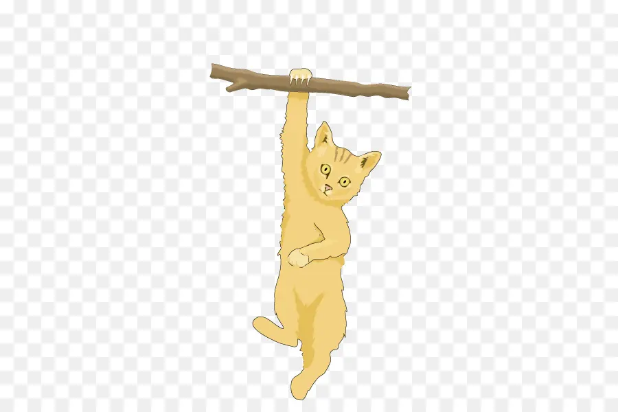 Gato Pendurado，Filial PNG