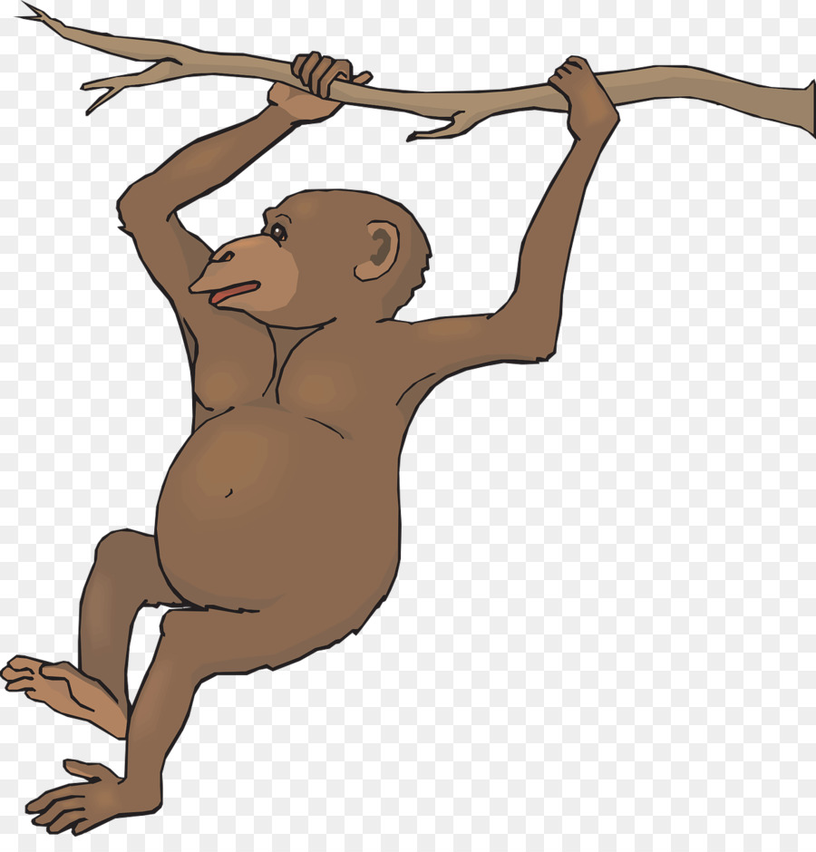 Macaco，Preto Guariba PNG