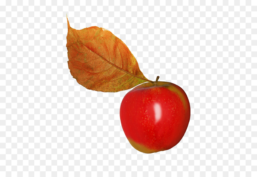 Apple，Folha PNG