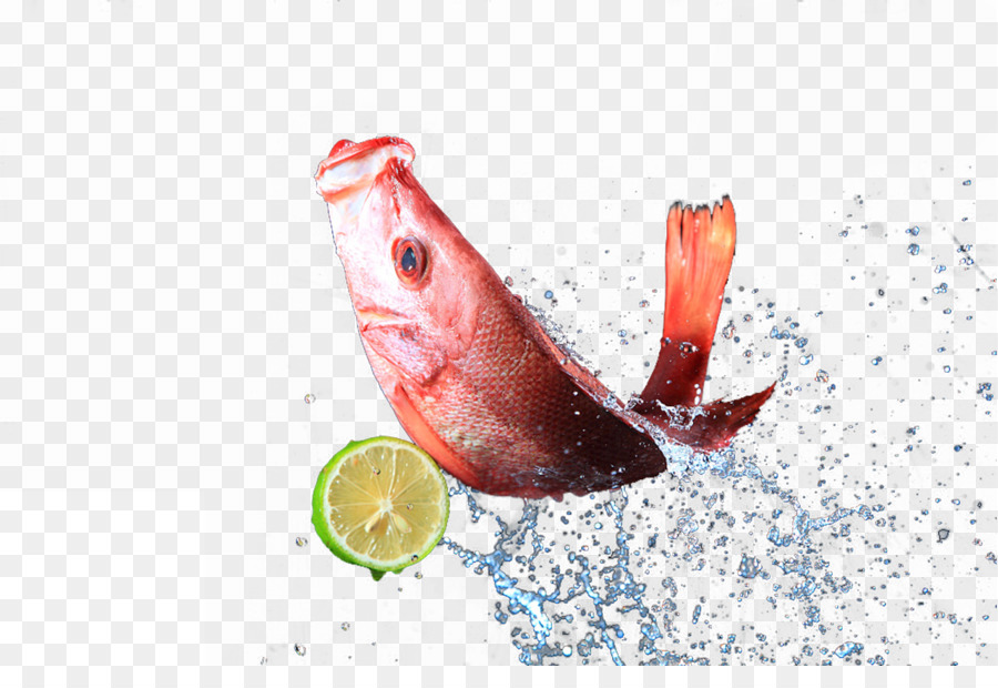 Peixe Vermelho，Aquático PNG