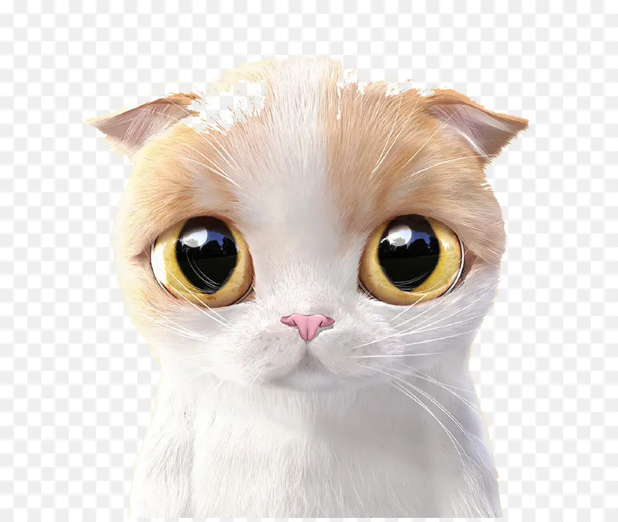 Gato Fofo，Gatinho PNG