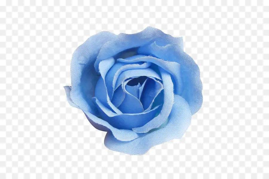 Rosa Azul，Florescer PNG