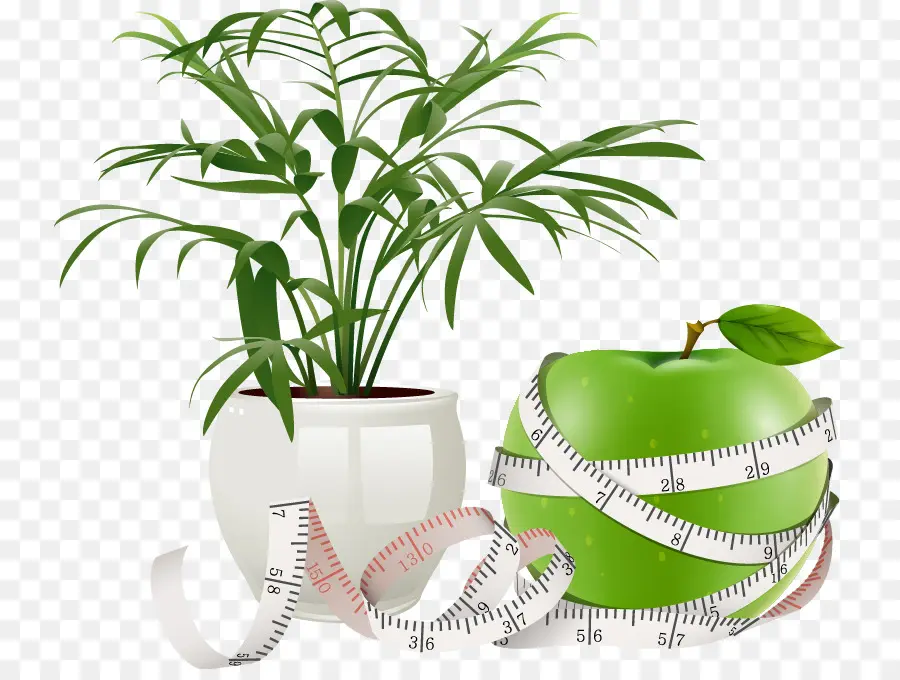 Flowerpot，Planta PNG