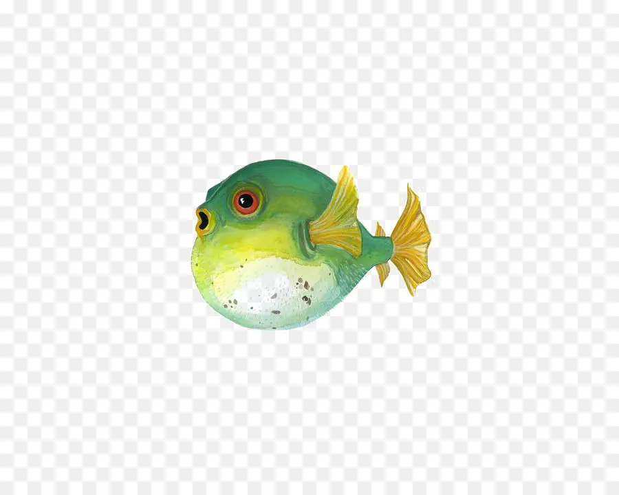 Fugu，Peixe PNG