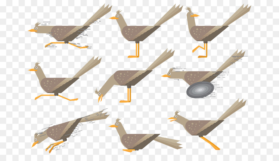 Aves，Comum De Avestruz PNG