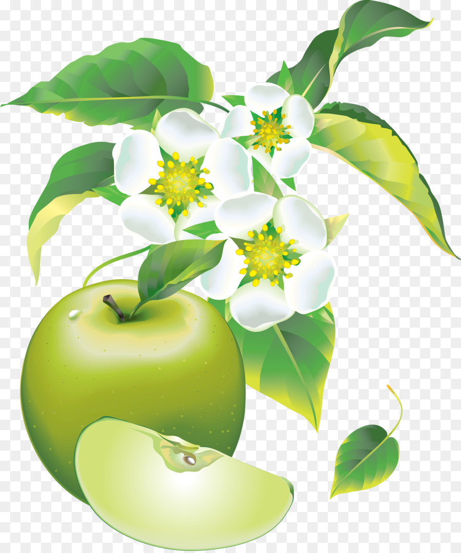 Maçã Verde Com Flores，Florescer PNG