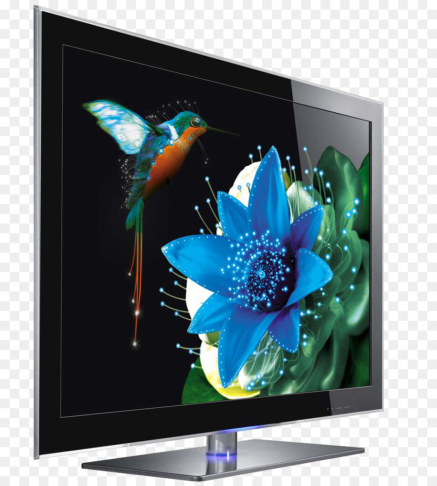 Tv Moderna Com Beija Flor，Colibri PNG