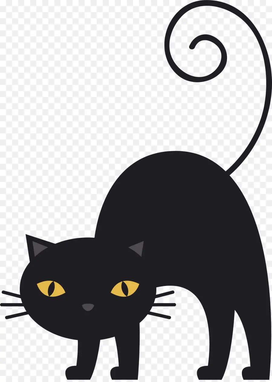 Gato Preto，Gato PNG