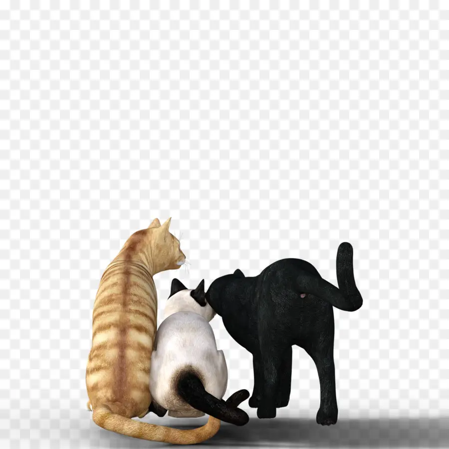 Três Gatos，Grupo PNG