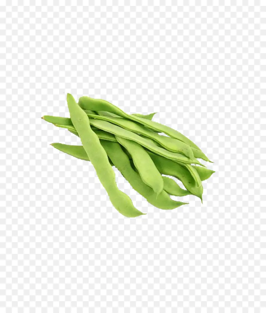 Vegetal，Lablab PNG