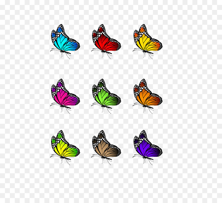 Borboletas Coloridas，Vibrante PNG