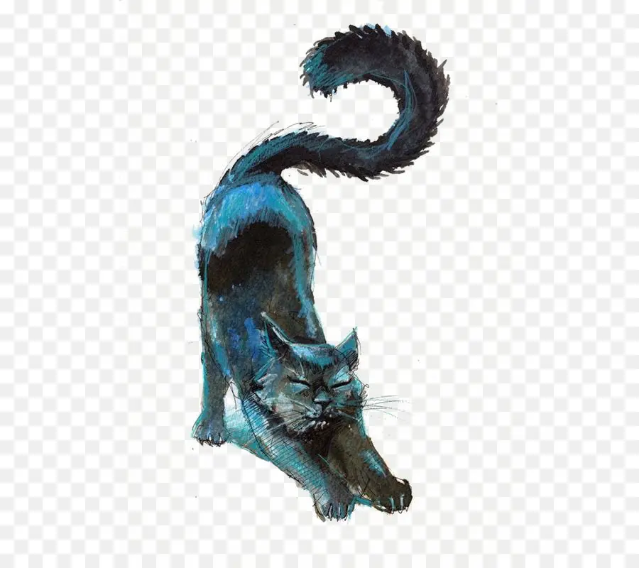 Gato，Gatinho PNG