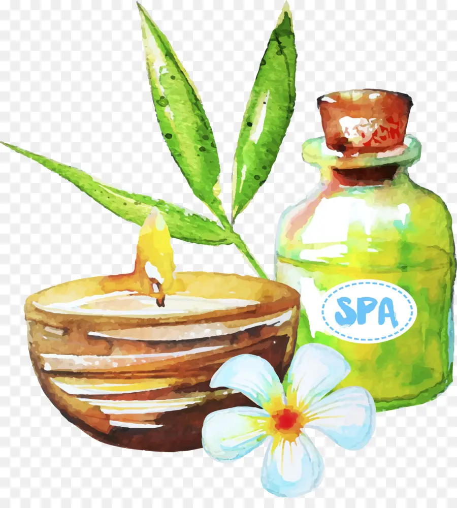 Spa，óleo Essencial PNG